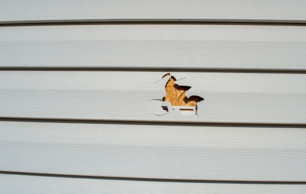 Siding Hole Patching in Pearland