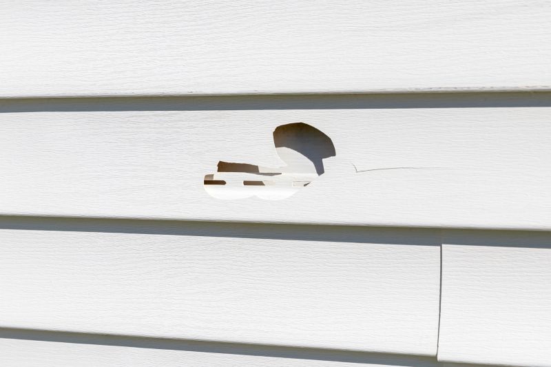 Vinyl Siding Repair Image 9
